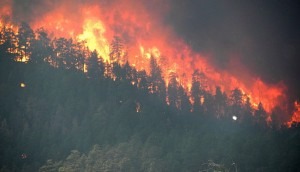 Trees goes up in flames at the High Park Wildfire west of Fort Collins, Colo., on Thursday, June 17, 2012. The fire started June 9 from a lightning strike and has consumed tens of thousands of acres of forest and grassland, destroyed homes, and mobilized more than 1,700 personnel from the U.S. Forest Service, state and local resources. (U.S. Department of Agriculture via Flickr and Wikimedia Commons)