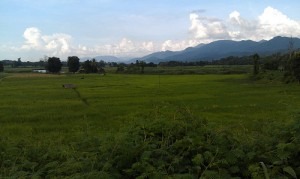 Annie Dominguez and Sonia Graber of the Denver area traveled into the mountains of Thailand to train refugee medics in Helping Babies Breathe techniques. (Photo courtesy of Annie Dominguez)